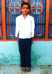 Anil